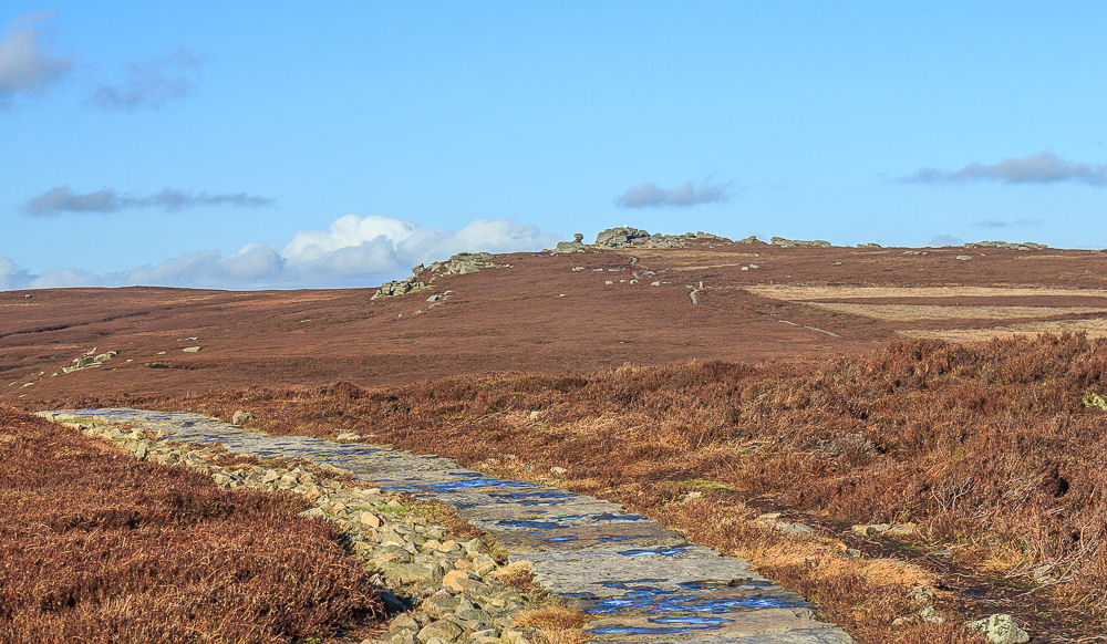 Back Tor